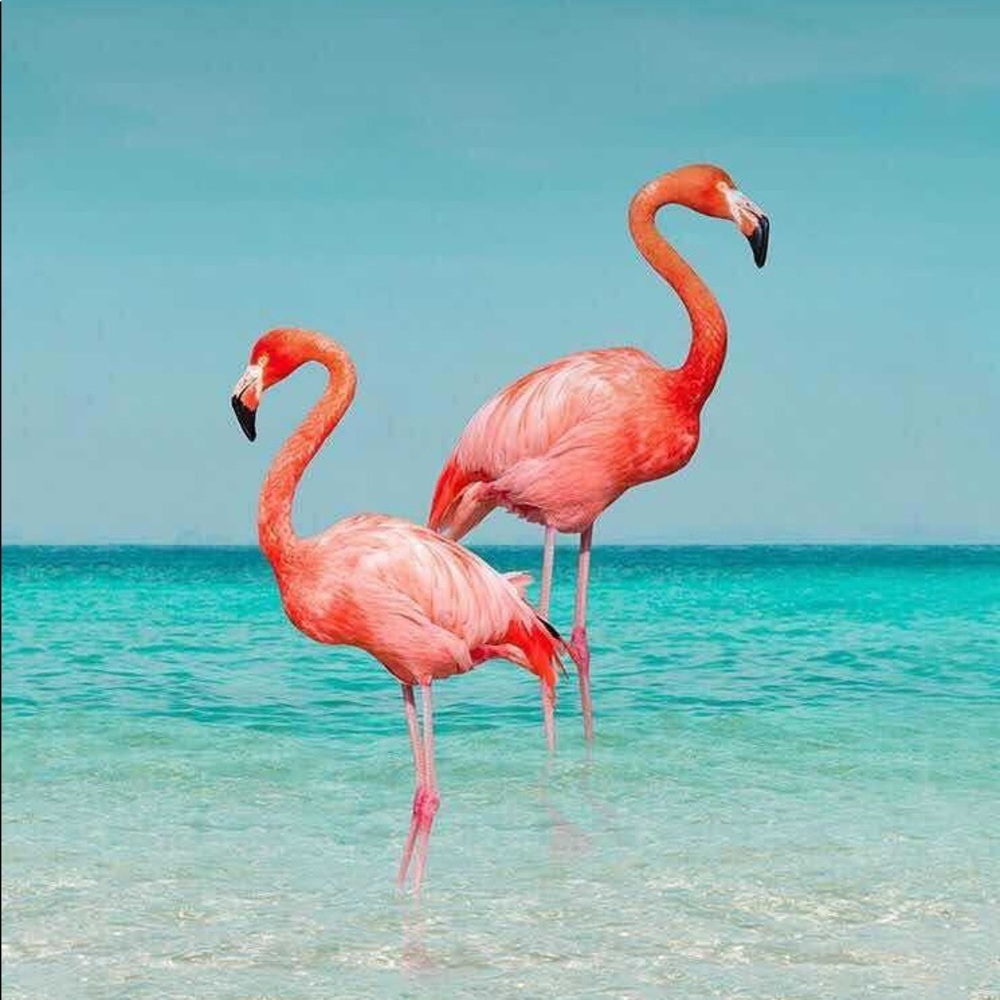 Meet your Posher, Eva